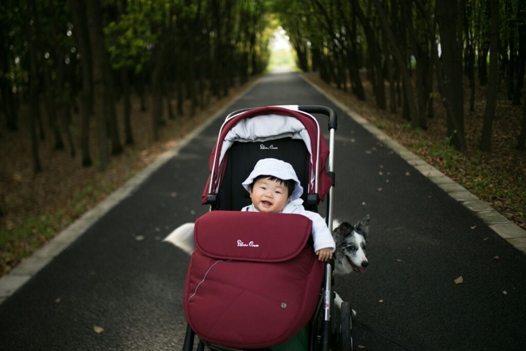 passeggini e carrozzine